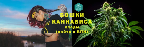 винт Вяземский